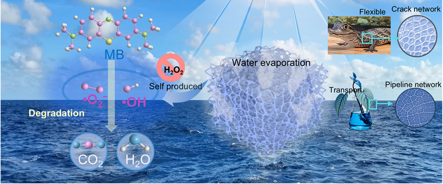 这种故意制造裂纹的材料,竟能同时搞定海水淡化和污水修复