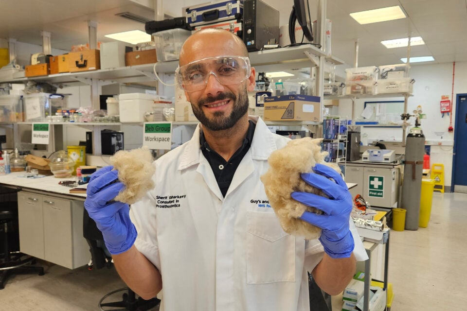 羊毛、酵母和尿液被派上用场,新技术让补牙走向“生物恢复”