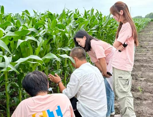 为北纬46°糯玉米打造视觉新名片,上海视觉艺术学院学子的“暑假作业”有点酷
